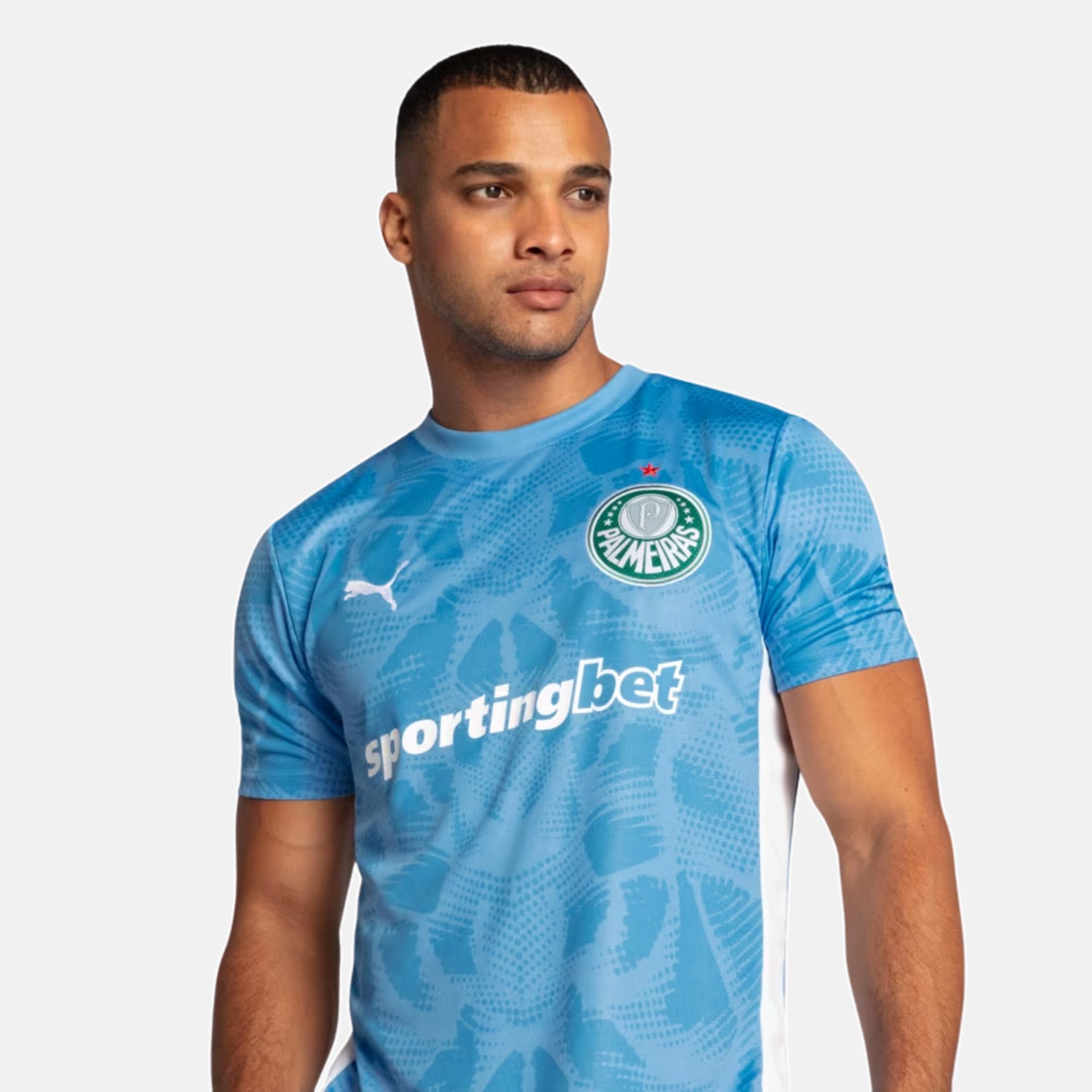 Camisa Goleiro Palmeiras 2025/26 Goleiro I