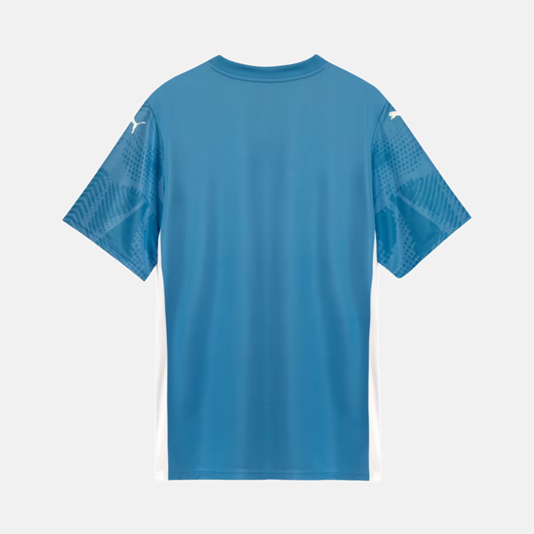 Camisa Goleiro Palmeiras 2025/26 Goleiro I