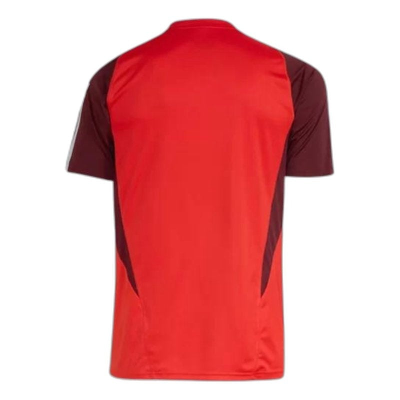 camisa-internacional-24-25-treino-versão-torcedor-2