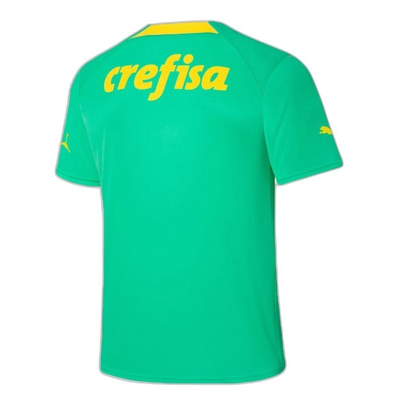 camisa-palmeiras-22-23-iii-third-versão-torcedor-2