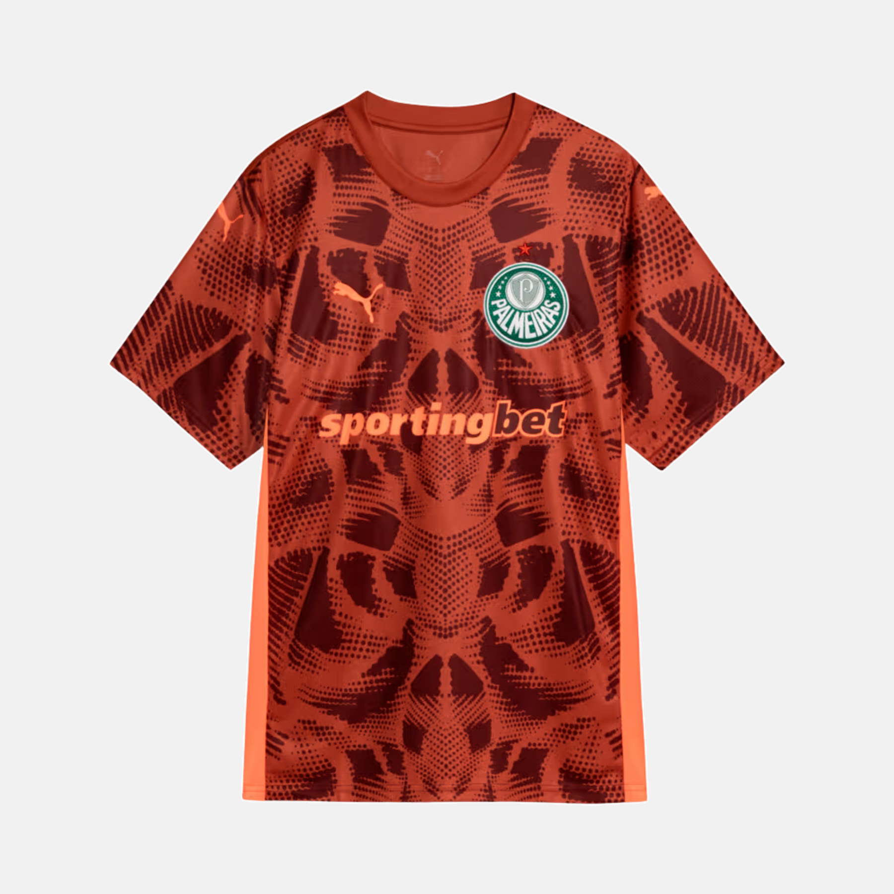 Camisa Puma Palmeiras 2025/26 Goleiro II