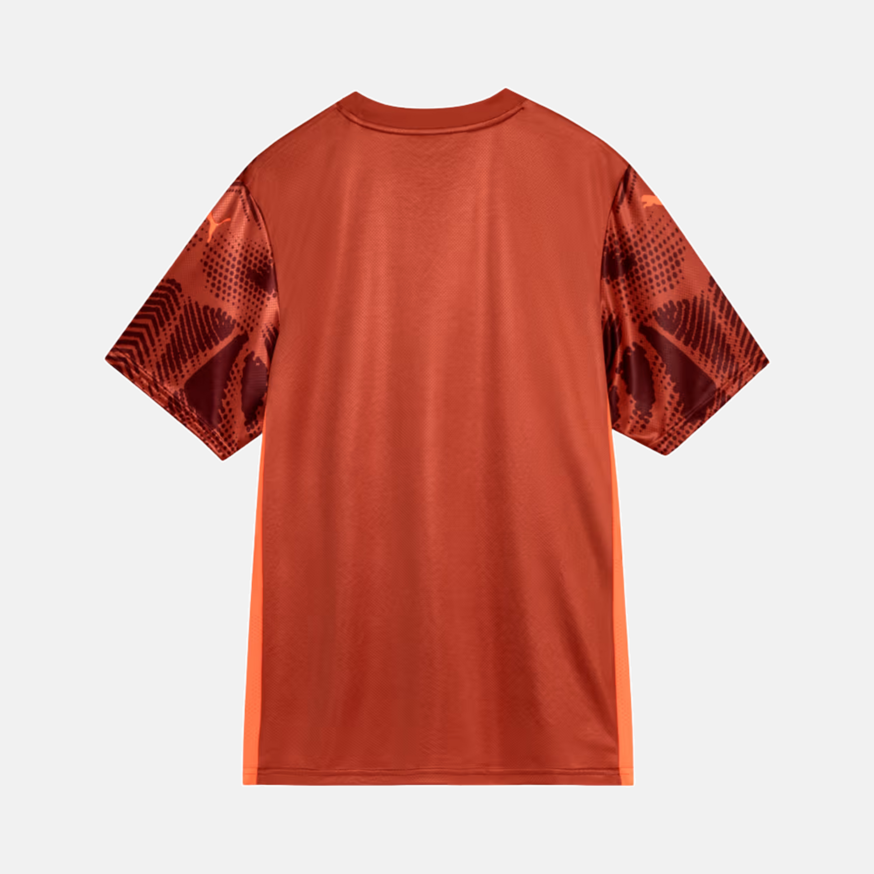 Camisa Puma Palmeiras 2025/26 Goleiro II