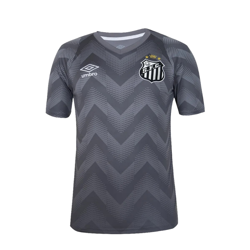 camisa-santos-24-25-goleiro-cinza-versão-torcedor-1