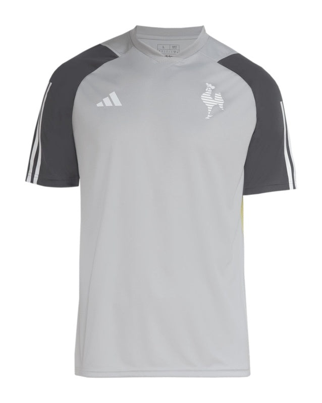 camisa-atlético-mineiro-24-25-treino-cinza-versão-torcedor-1