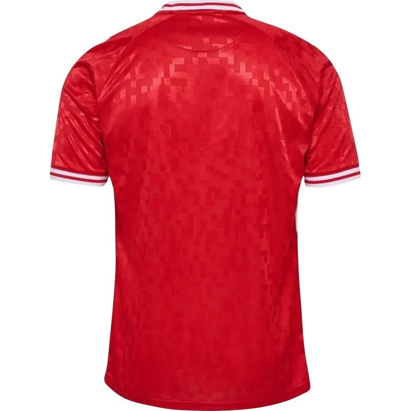camisa-dinamarca-24-25-i-home-versão-torcedor-2