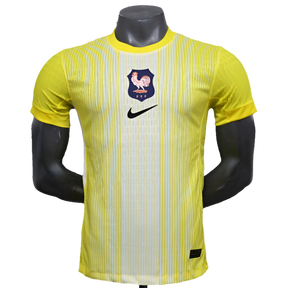 camisa-frança-25-26-goleiro-amarelo-versão-jogador-1