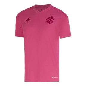 camisa-internacional-23-24-rosa-october-versão-torcedor-1