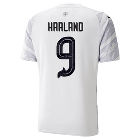 camisa-manchester-city-dragão-de-madeira-edição-especial-puma-torcedor-masculina-2