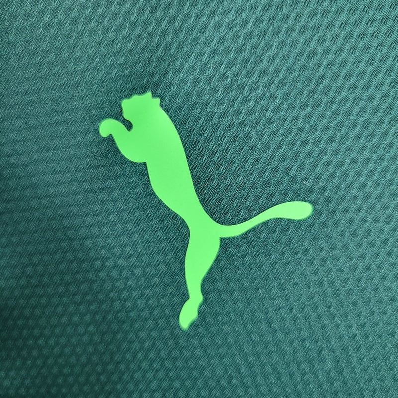 camisa-oficial-do-palmeiras-21-22-versão-torcedor-personalizável-5