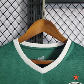 camisa-oficial-do-palmeiras-22-23-versão-torcedor-personalizável-3