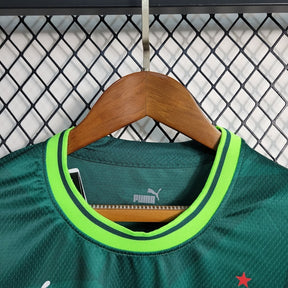 camisa-oficial-do-palmeiras-23-24-feminina-versão-torcedor-personalizável-2