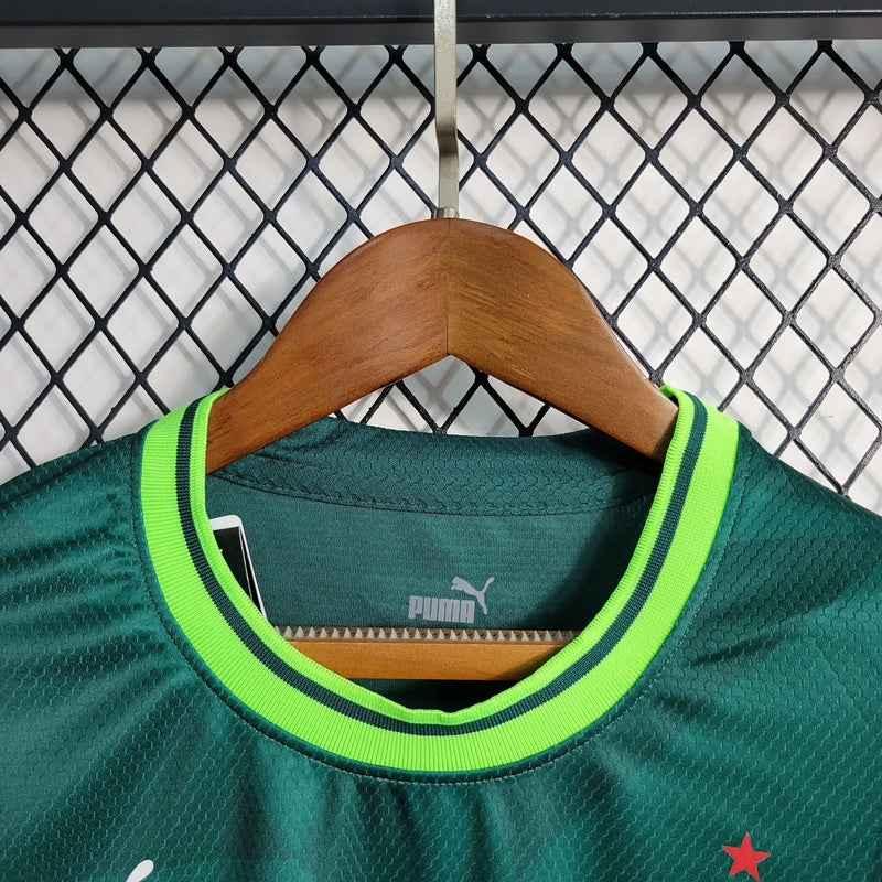 camisa-oficial-do-palmeiras-23-24-feminina-versão-torcedor-personalizável-2
