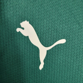 camisa-oficial-do-palmeiras-23-24-versão-torcedor-personalizável-5