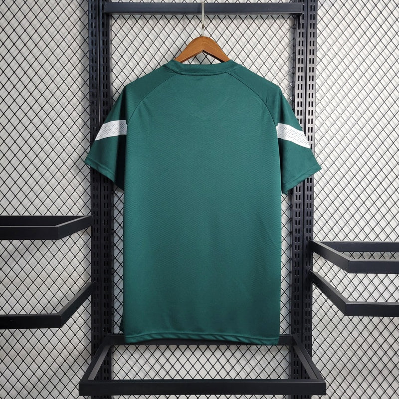 camisa-oficial-do-palmeiras-23-24-versão-torcedor-personalizável-7