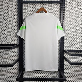 camisa-oficial-do-palmeiras-23-24-versão-torcedor-personalizável-8