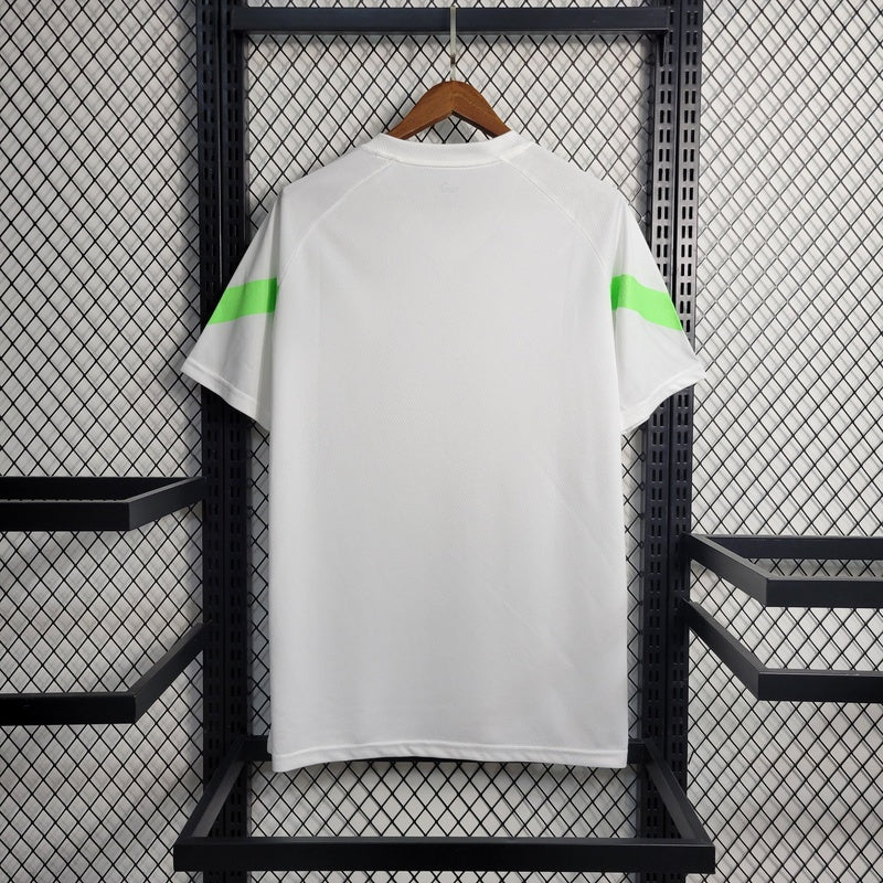 camisa-oficial-do-palmeiras-23-24-versão-torcedor-personalizável-8