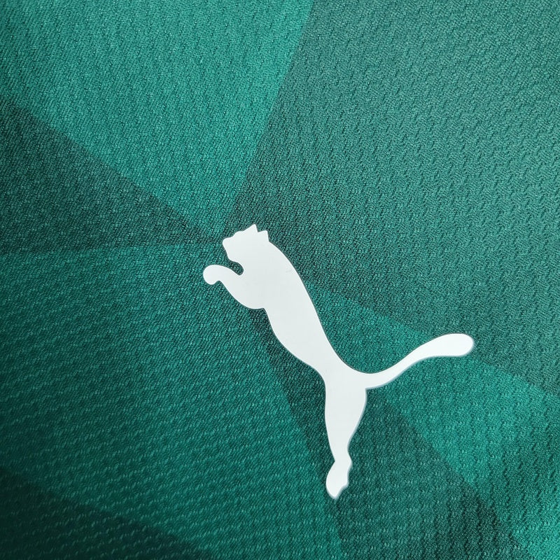 camisa-oficial-do-palmeiras-23-24-versão-torcedor-personalizável-home-5