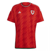 camisa-país-de-gales-22-23-i-home-versão-torcedor-1