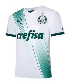 camisa-palmeiras-23-24-ii-away-versão-torcedor-1