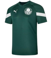 camisa-palmeiras-23-24-treino-verde-versão-torcedor-1