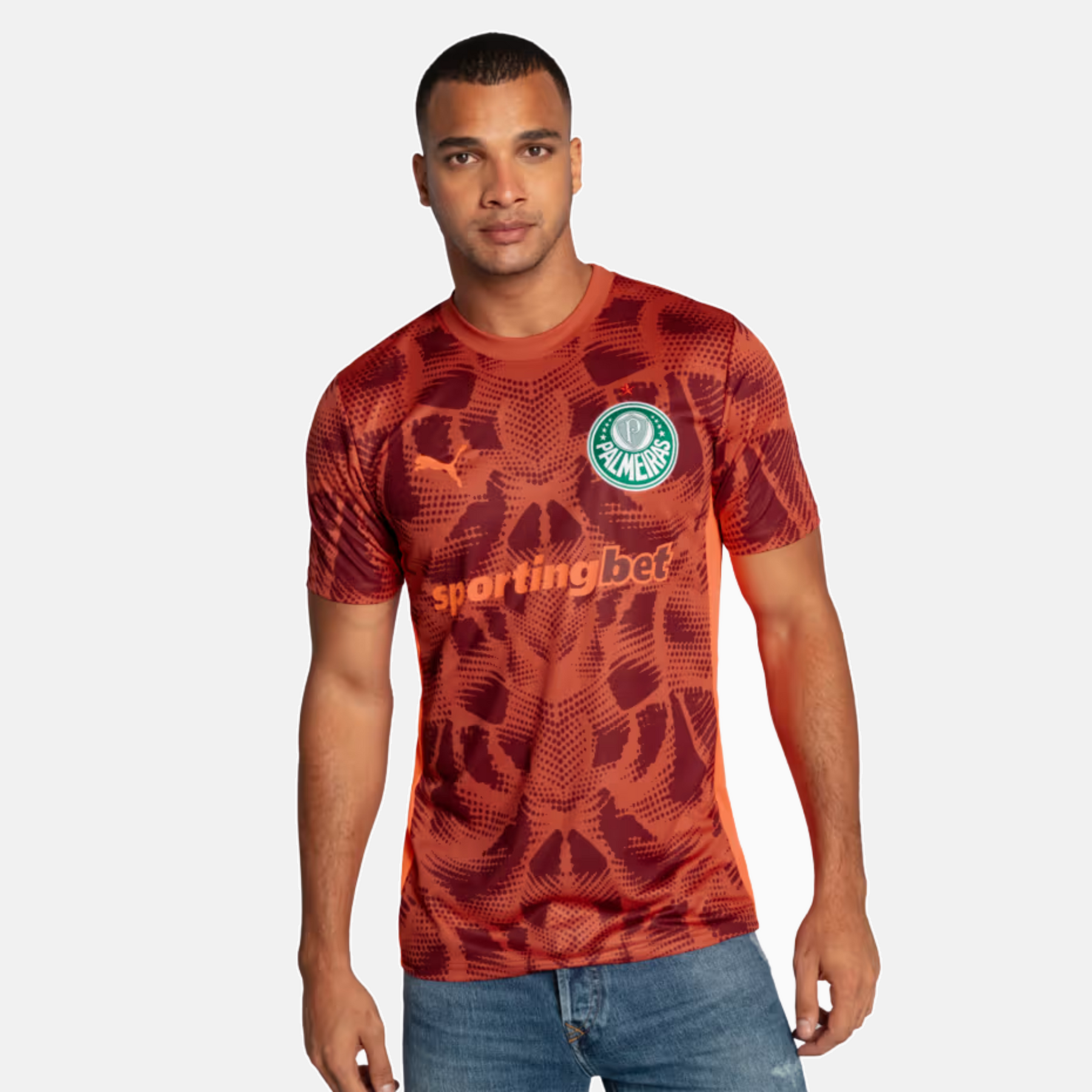 Camisa Puma Palmeiras 2025/26 Goleiro II