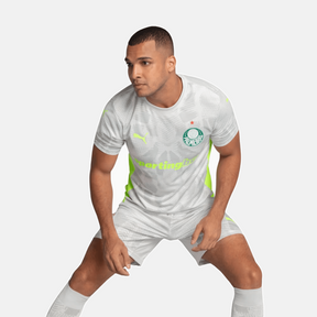 Camisa Puma Palmeiras 2025/26 Goleiro III Jogador