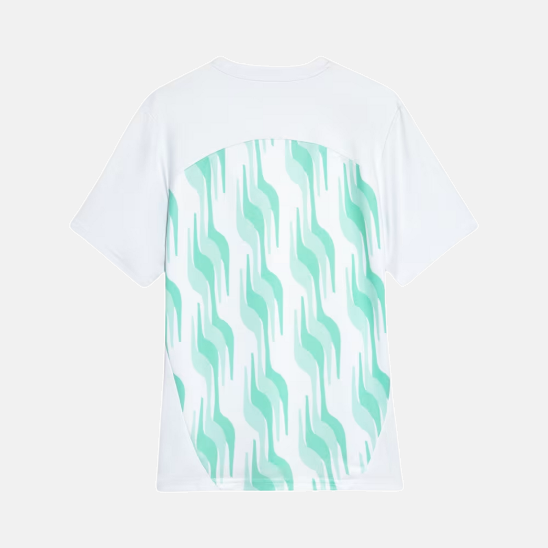 Camisa Puma Palmeiras 2025/26 Pré-Jogo