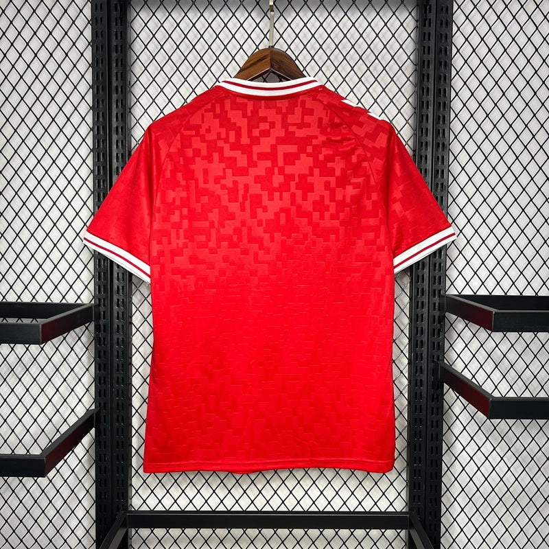 camisa-seleção-dinamarca-2024-25-home-5