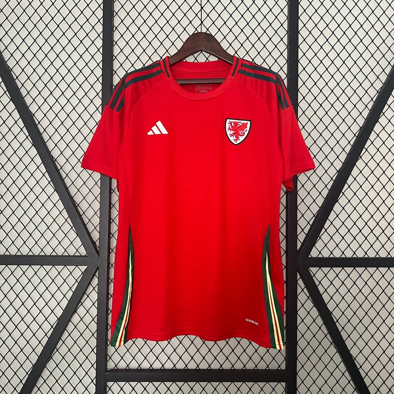 camisa-seleção-país-de-gales-2024-25-home-1