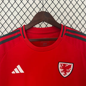 camisa-seleção-país-de-gales-2024-25-home-2