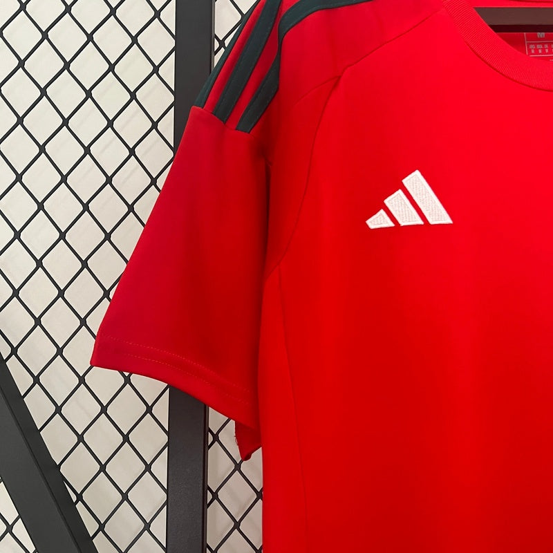 camisa-seleção-país-de-gales-2024-25-home-3