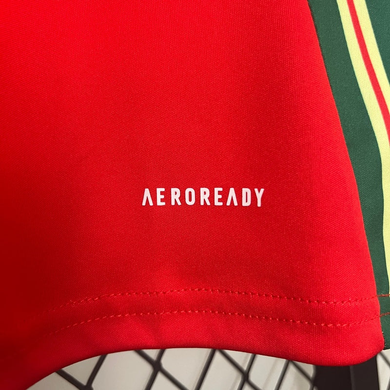 camisa-seleção-país-de-gales-2024-25-home-4