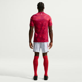 Camisa Polônia 2026/27 II