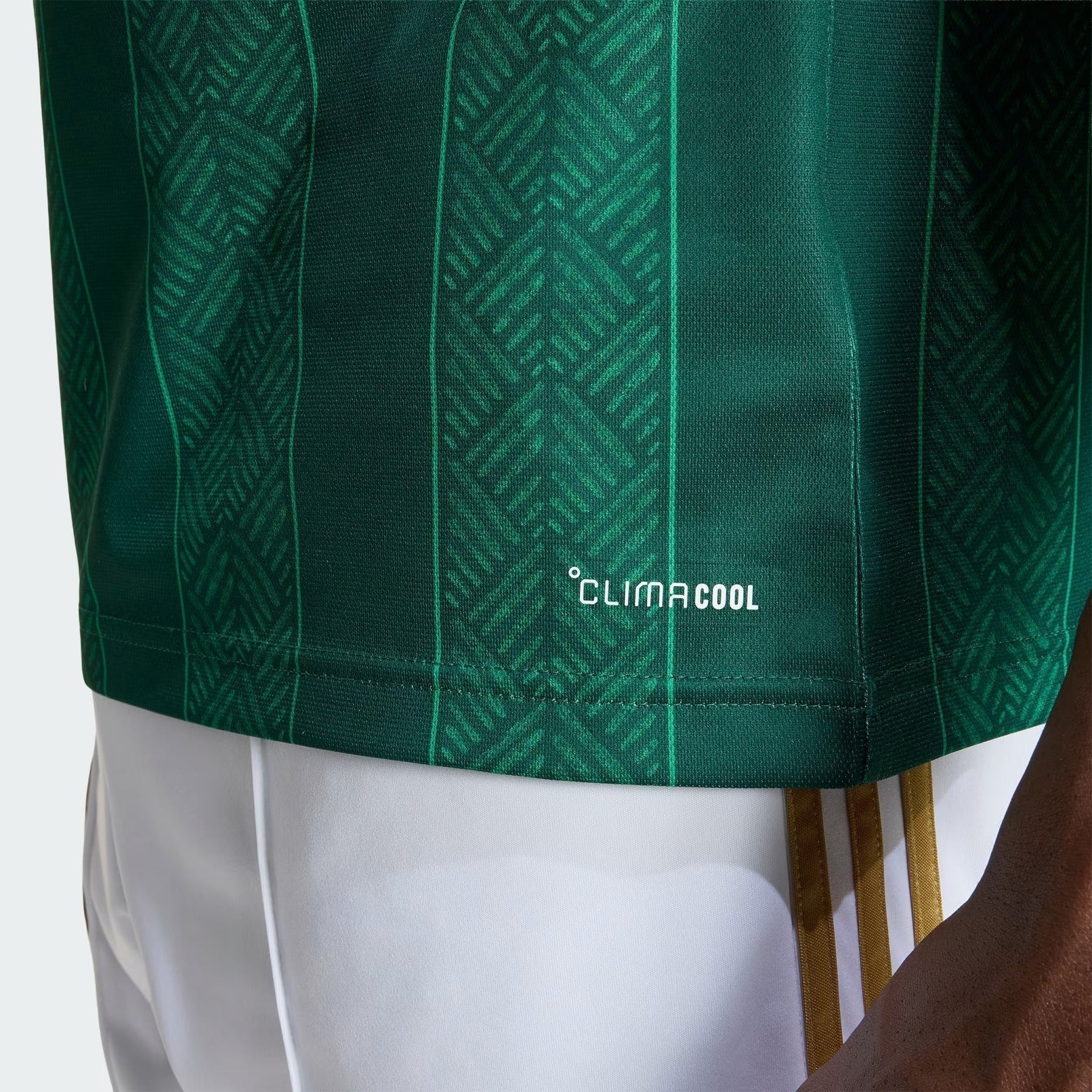 Camisa África do Sul 2026/27 I